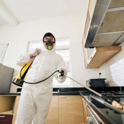 technician-spraying-chemicals-in-house-2025-02-11-13-52-49-EK43U7M.jpg